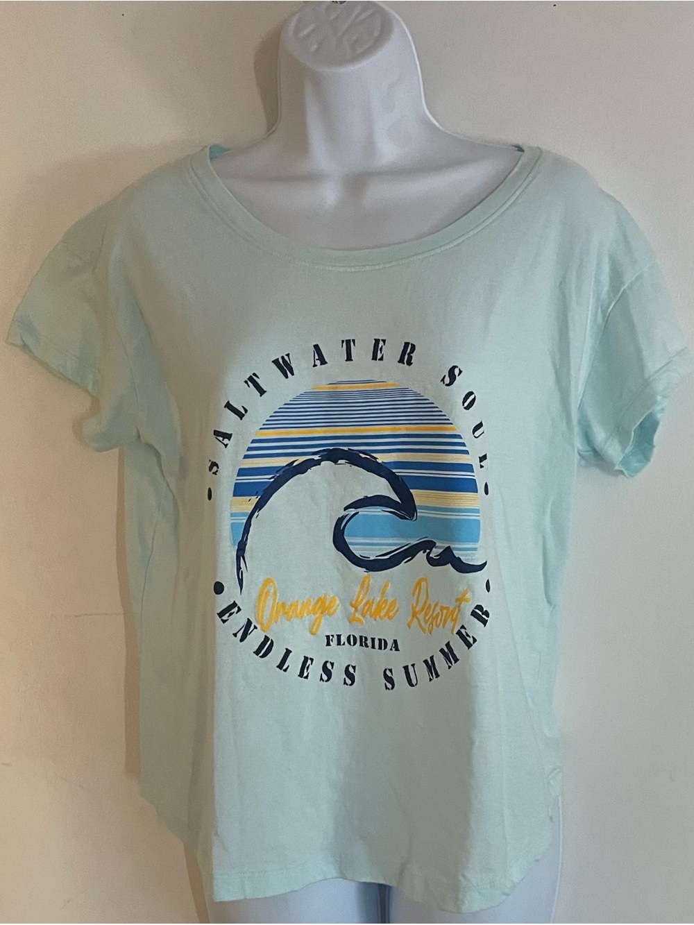 Mint Graphic Tee - Orange Lake Resort